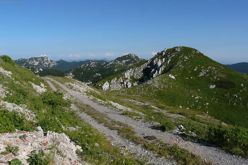 Platak